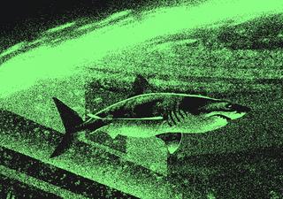 Illustration for article titled BioShock Art With A Glow-In-The-Dark Secret